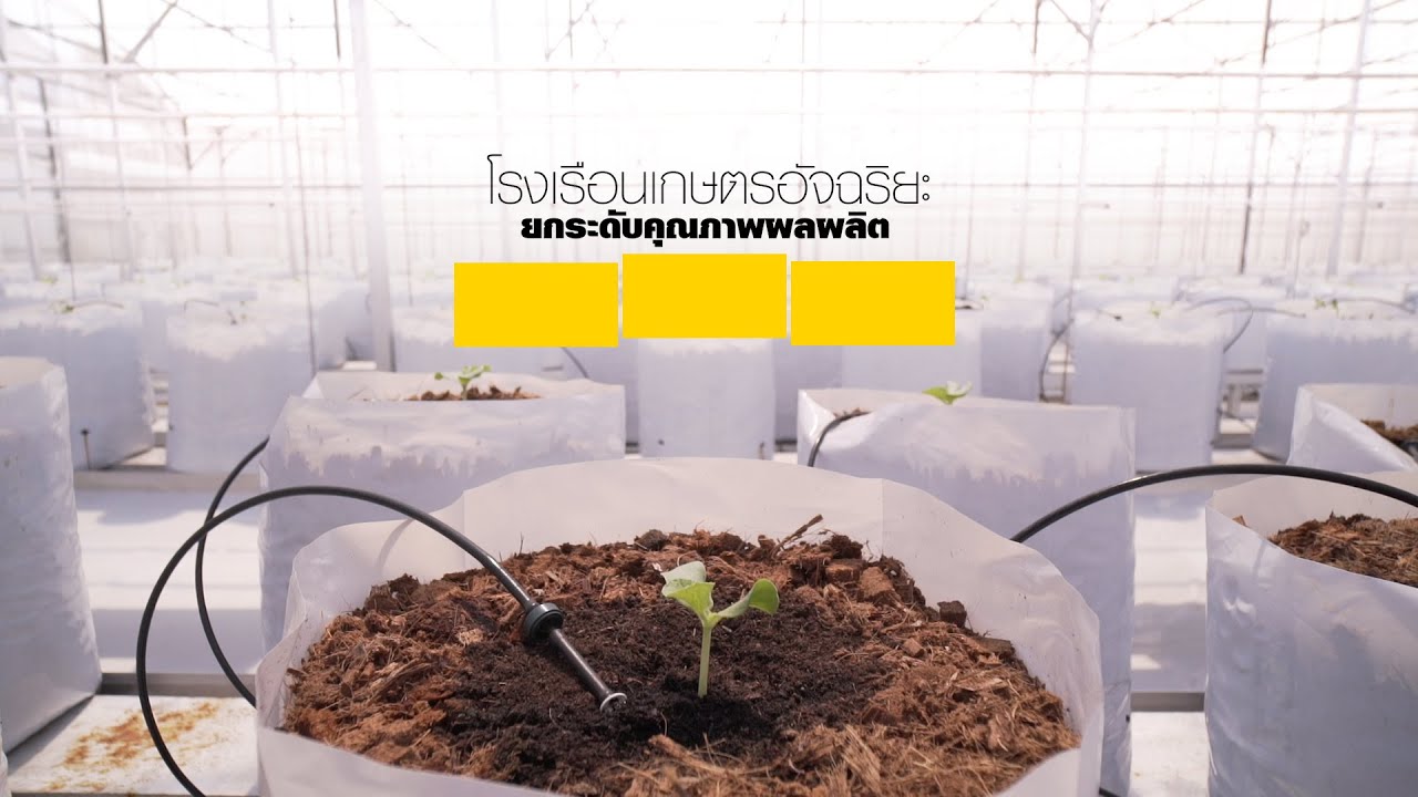 เพื่อนคู่คิด ตอน โรงเรือนเกษตรอัจฉริยะยกระดับคุณภาพผลผลิต