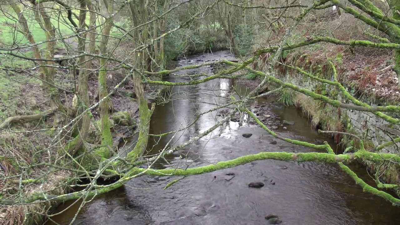 A Year of the river Holme    Jan