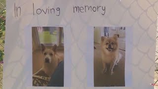 Georgetown families settle claim against company in Ponderosa Pet Resort fire