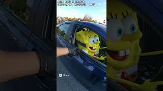 Spongebob Arrested