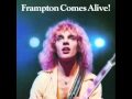 Peter frampton do you feel like we do comes alive