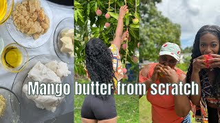 VLOG : LET THAT MAN GO 🥭| mango farm fun | butter from mango seeds screenshot 2
