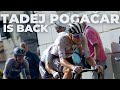 TADEJ POGAČAR IS BACK 2023