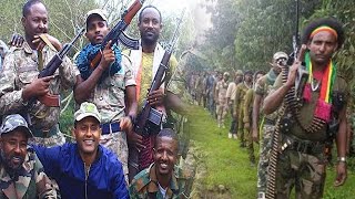 Ethiopia -ሰበር ቪዲዮ “ቆርጠናል እንሞታለን” በድብቅ የተቀረፀ የወሎ ፋኖዎች አስገራሚ መልዕክት