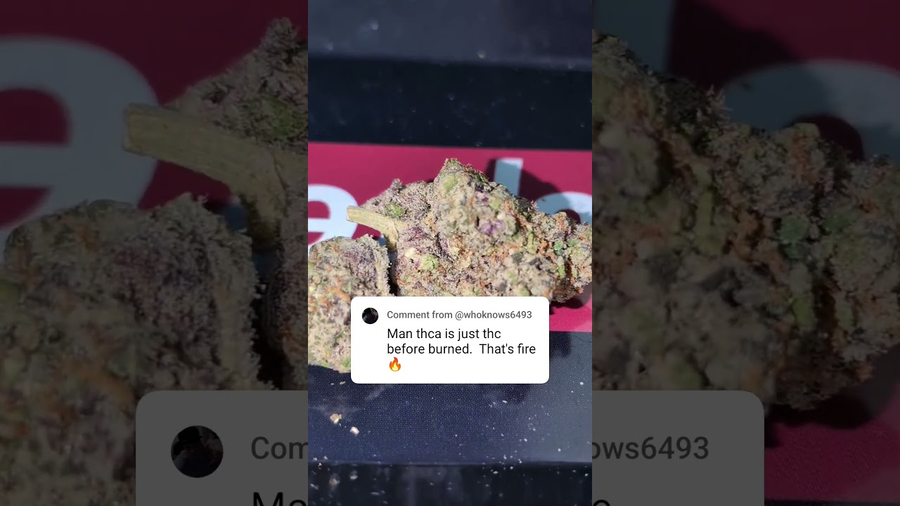 "THCa is just THC before burned"