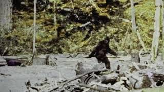 Bigfoot - "Dyatlov Pass"