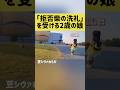 「拒否柴の洗礼」を受ける2歳の娘 #shorts #shibainu #柴犬
