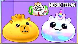LIVE merge fellas mode VIRAL DUMPLINGS MEME