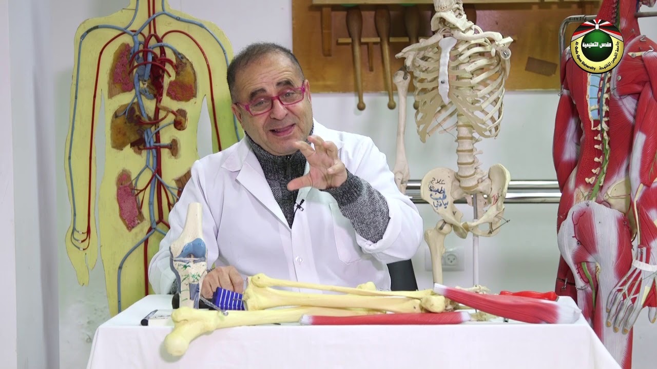 الوثاب | صحتك بايدك 2020