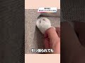 ソファから帰りたくないハムスターが可愛い【ててらぼペット部】
