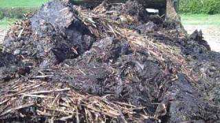 Muck Spreading 1.wmv