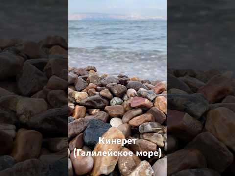Kinneret (Sea of Galilee) Галилейскоеморе. #shorts #israel #short #путешествияпоизраилю #traveling