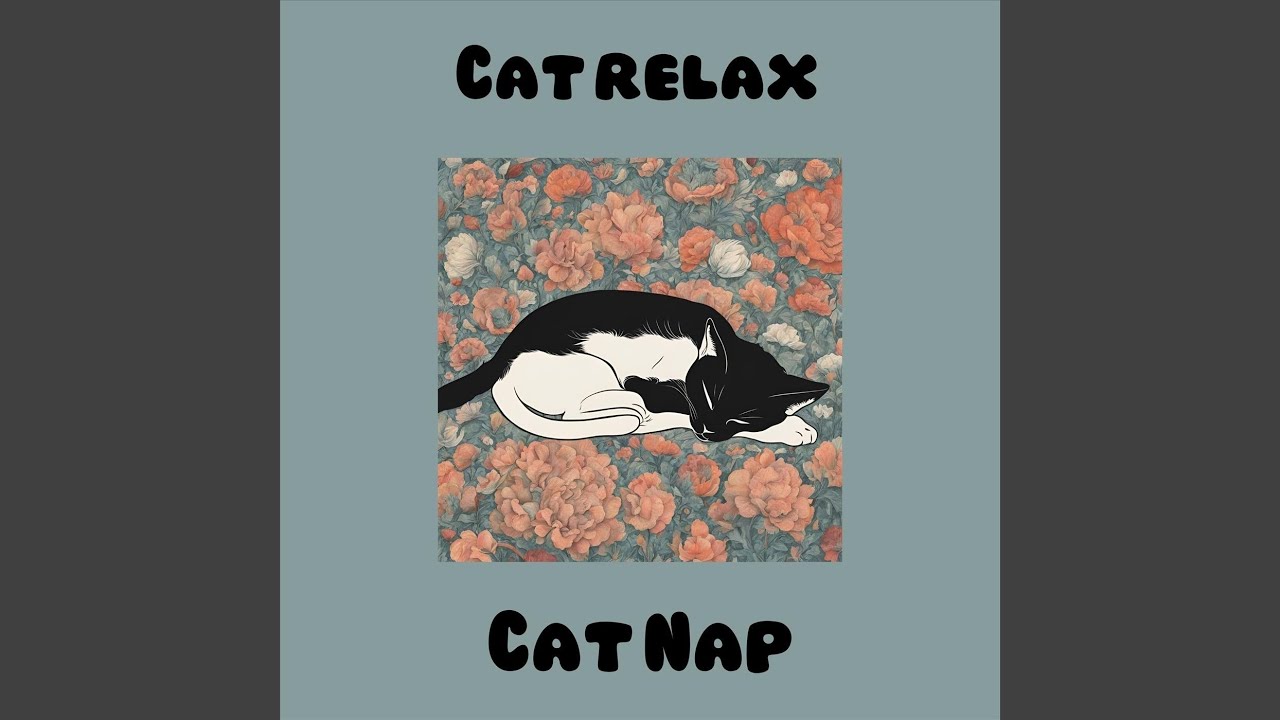 Cat Cuddle Compendium auf YouTube ansehen Cat Cuddle Compendium auf YouTube ansehen