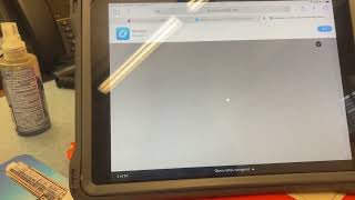 Nearpod issue with clever on iPad only