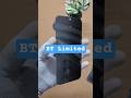 OnePlus 15 Privacy Membrane ! OnePlus 15 Privacy Screen Protector #shorts