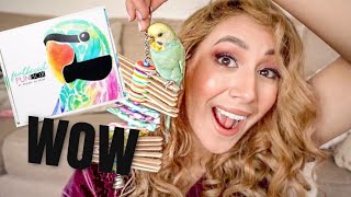 JANUARY FEATHERED FUN BOX UNBOXING WITH MY BUDGIE DAVY!