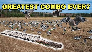 Black Ducks, Mallards, & Honker Limits!!! (DREAM HUNT)