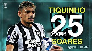 Todos os 25 Gols de Tiquinho Soares pelo Botafogo em 2023