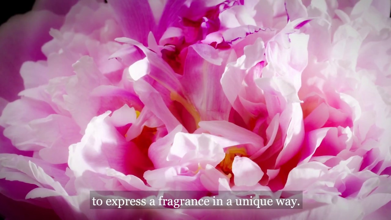 Givaudan interview about microbiota, skin ecosystem and Active Beauty