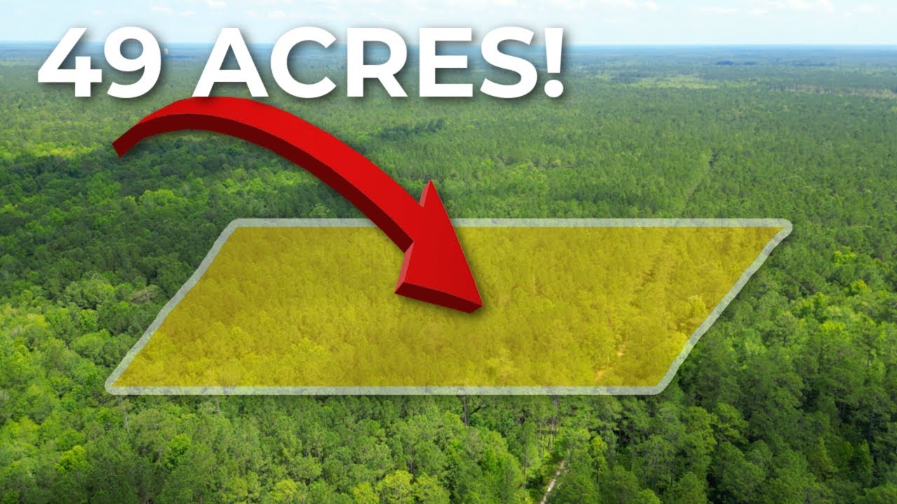 49 acres for sale in Huger, SC 30 minutes to the beach! YouTube