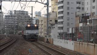 短い臨貨8866レ EF65 1043号機+ォトキ1両 通過