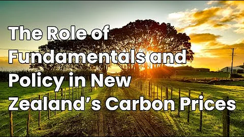 The Role of Fundamentals and Policy in New Zealand's Carbon Prices