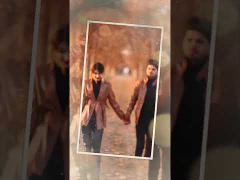 حالات واتس اب حب اغنية ياسر عبد الوهاب و زيد الحبيب قلبي