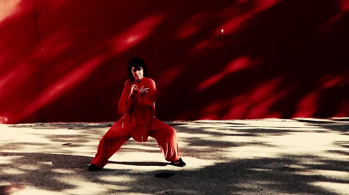 Taiji Quan /Chen
