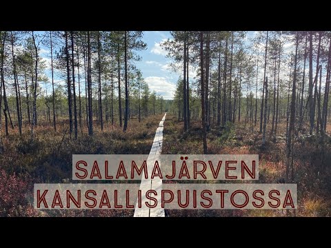 Video: Psühholoogi Konsultatsioonil