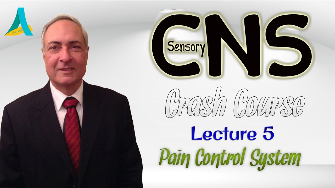Dr.Nagi - CNS Sensory CRASH COURSE - Lecture (5) - Pain Control System