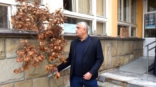 Mladenovac: Obeležen Badni dan u zgradi opštine