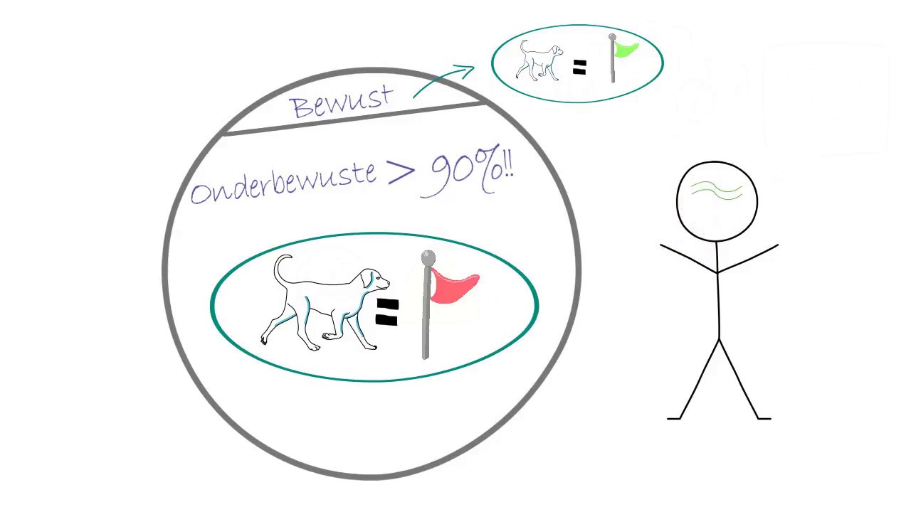 Update Reset je brein met EFT (animatie, 4 min)