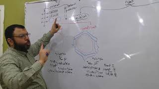 شرح احياء اولى ثانوى : الجدار الخلوى ، الغشاء البلازمى ، النواة