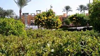Египет, Шарм-Эль-Шейх, обзор отеля Rehana Sharm Resort & SPA 4*(, 2016-01-04T07:32:34.000Z)