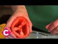 كيفية زراعة بذور الطماطم