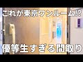 これがワンルーム!?驚異的な防犯力と収納力が備わった一人暮らしのお部屋【賃貸マンション内見】