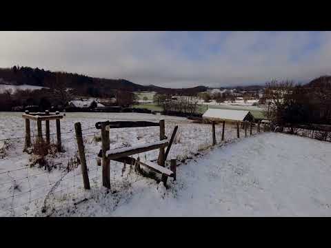 Rural Winter Walk in Snow - Wiltshire, UK - Binaural audio