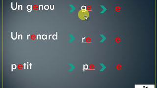 تعلم اللغة الفرنسية من الصفر: 9   la voyelle   e