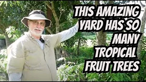 This Fruit Tree Yard Is One Most People Dream To Have - DayDayNews