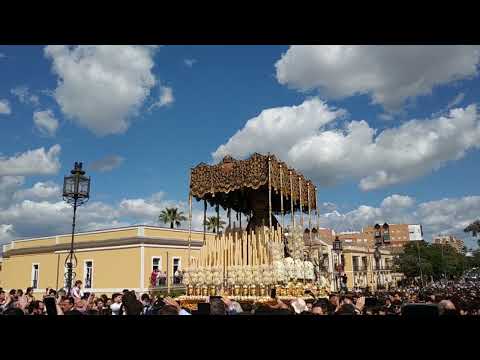Real, Ilustre y Fervorosa Hermandad Sacramental de la Pura y Limpia Concepción de la Santísima Virgen María, Ánimas Benditas del Purgatorio y Cofradía de Nazarenos del Santísimo Cristo de la Salud, María Santísima del Refugio, Santa Cruz, Nuestra Señora del Patrocinio, Santa Bárbara y San Bernardo