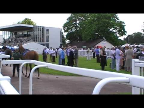 Horse Racing Worcester Race Course 24th June 2009 (1 of 8)