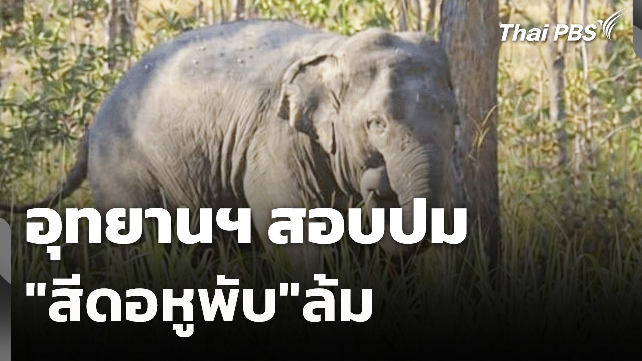 อุทยานฯ สอบปม 