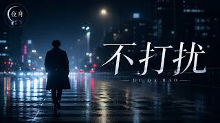不打扰｜R&B × Emo Duet｜我不是不想你，只是终于学会不再打扰你｜深夜必听华语情歌｜情绪翻唱