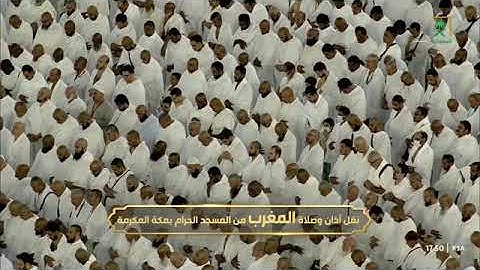 ما أجملها! تلاوة تأسر الألباب من سورة صٓ للشيخ د. #الوليد_الشمسان مغرب 10 جمادى الآخرة 1446هـ