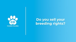 Do You Sell Your Breeding Rights?