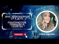 Погружение в мир хеш-таблиц на Java: от теории к практике 🗂️🔍