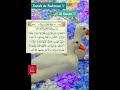 Surah Ar Rahman Al Quran The Straight Path صراط المستقيم 