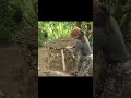 🌲 Survival Girl Creates a Hidden Underground Shelter Deep in the Forest | Bushcraft Skills 🔥