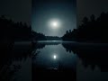 Приговор