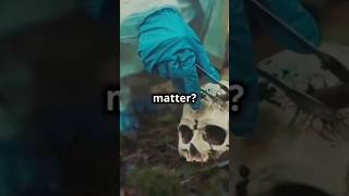 The hidden heat of death: Postmortem caloricity